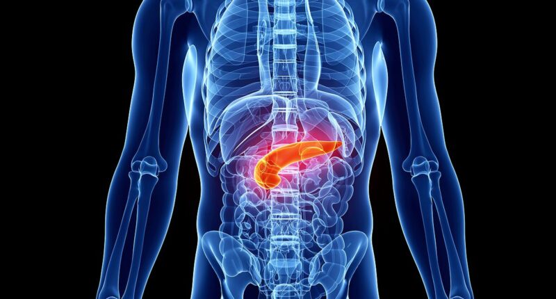 Dirty habit puts millions at risk of hidden pancreatic cancer - doctors call for screening as cases soar