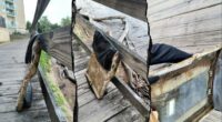 Dog-walking man stumbles on suspected debris from Reagan National plane crash 7 months later