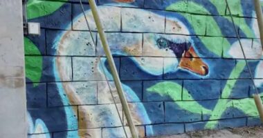 Downtown Orlando gets new murals funded by federal grant