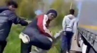 Driver forces migrants off lorry after catching them on his trailer