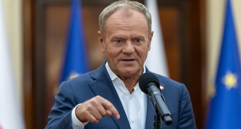 Drone 'neutralised' over Poland's presidential palace in 'provocation'
