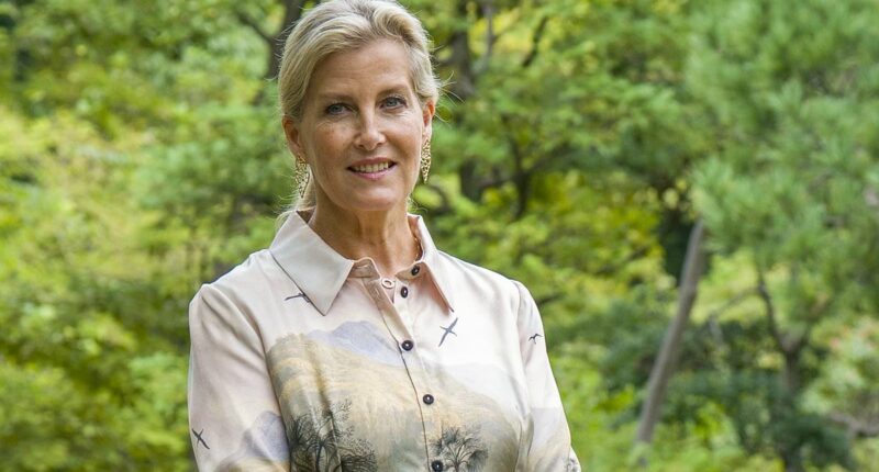 Duchess of Edinburgh steps out in stylish £2,190 printed silk frock as she visits mental health centre during official Japan tour