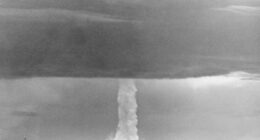Duck and Cover! 'De-Nuke' Before Its too Late!
