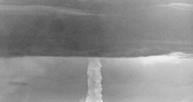 Duck and Cover! 'De-Nuke' Before Its too Late!