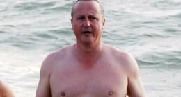 EDEN CONFIDENTIAL: Dave has lost 4st... or is someone telling porkies?
