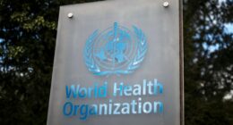 EU, WHO confirm drug's safety during pregnancy after Trump links it to autism