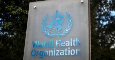 EU, WHO confirm drug's safety during pregnancy after Trump links it to autism