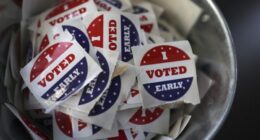 Early voting ends Sunday for Tampa City Council District 5 special election