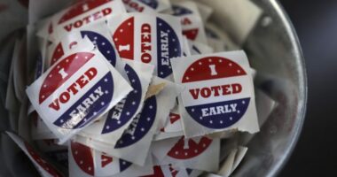 Early voting ends Sunday for Tampa City Council District 5 special election