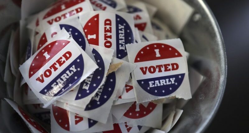 Early voting ends Sunday for Tampa City Council District 5 special election