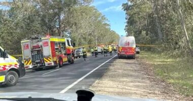 A man has died after a skydiving plane crash.