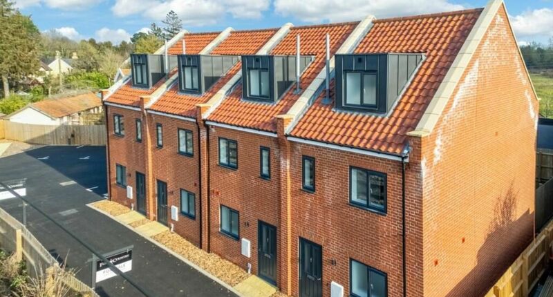 Elon Musk ridicules UK for giving asylum seekers 'new £300k homes'