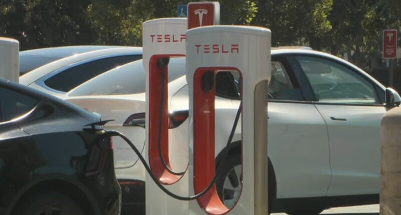 Elon Musk's Tesla under investigation for potentially faulty door handles