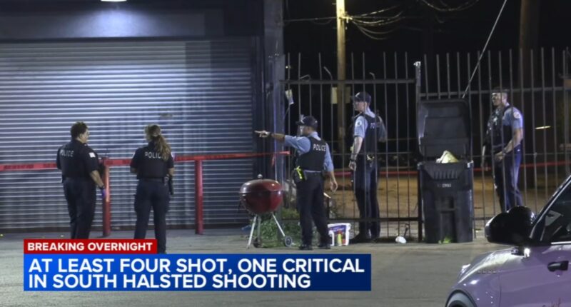 Englewood, Chicago shooting today: 4 men shot in 6600-block of South Halsted Street, police department says
