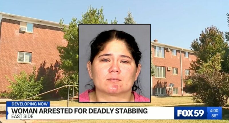 'Enraged' girlfriend kills boyfriend after he hit her: Cops