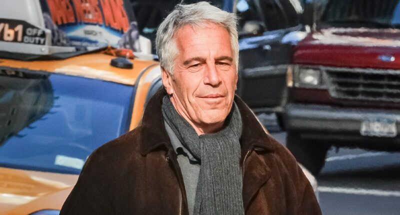 Epstein documents released by House Democrats name Elon Musk, Steve Bannon and Peter Thiel