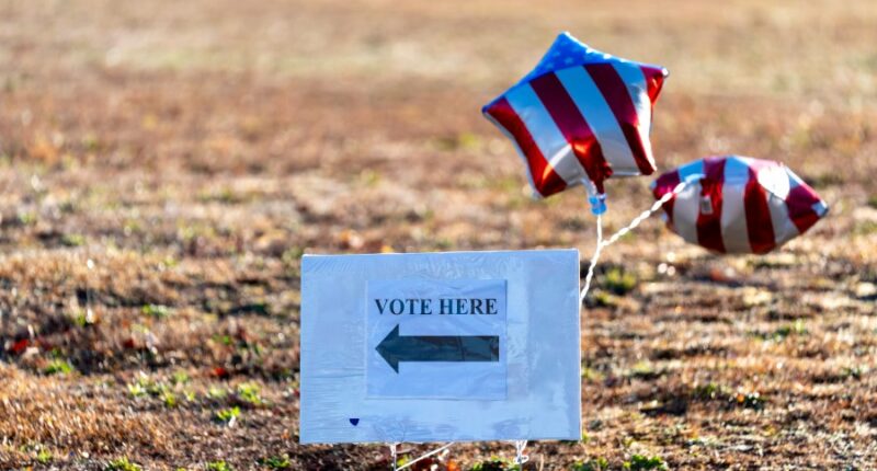 Executive director ousted from South Carolina Election Commission