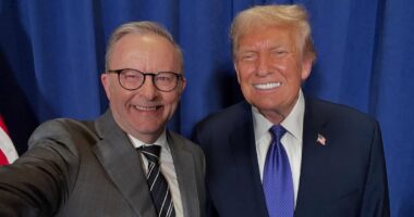 Expert gives verdict on awkward Albo selfie with Donald Trump