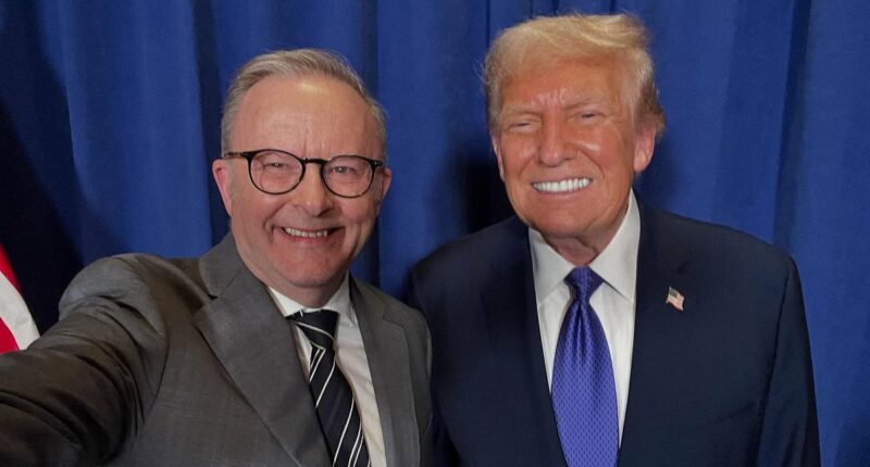 Expert gives verdict on awkward Albo selfie with Donald Trump