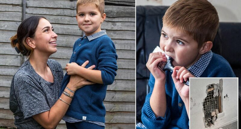 Family desperate for safe home for son who eats carpet and wallpaper
