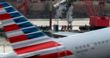 Family sues over deadliest US plane crash since 2001