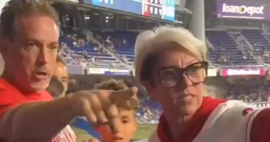 Father berated by 'Phillies Karen' sends message to online sleuths trying to uncover her identity