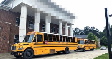Fears as Victorian disease is discovered at Southern state high school