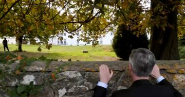 Fears over what's really going on at the Somerset migrant mansion