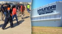 Federal agents arrest hundreds at Hyundai plant construction site in Georgia