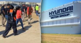 Federal agents arrest hundreds at Hyundai plant construction site in Georgia