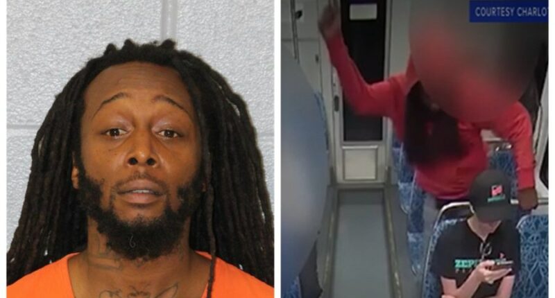 Federal crime charge for suspect in fatal stabbing of Ukrainian refugee