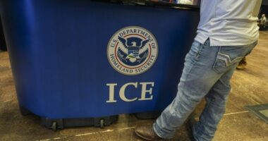 Federal jury indicts three women over ICE doxing in California