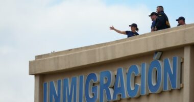 Feds to increase security at ICE buildings after Dallas attack