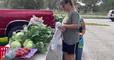 Feeding Tampa Bay prepares for potential impact from SNAP changes