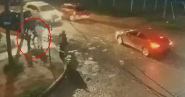 Female cousins aged 20 and girl, 15, all decapitated during livestreamed torture video