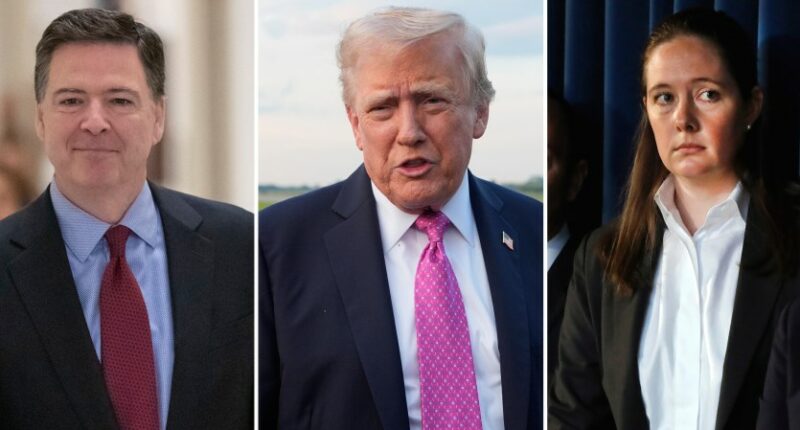 Fired federal prosecutor Maurene Comey sues Trump administration to get her job back