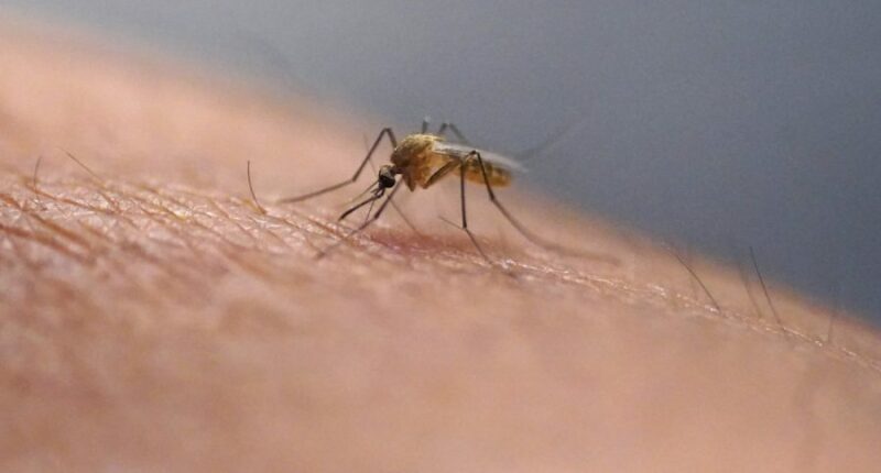 First SC death recorded from eastern equine encephalitis in more than 20 years 