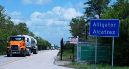 First hearing held on detainees' legal rights at 'Alligator Alcatraz' after judge orders wind down