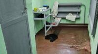 First images emerge of 'Alexei Navalny's frozen Arctic punishment cell