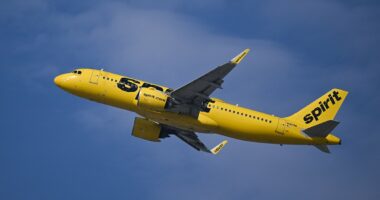 Flight attendant: The awful truth about toxic fume leaks in cabins