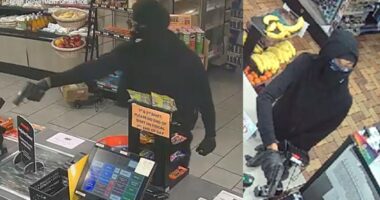Florida couple charged after string of armed robberies along I-75, U.S. Attorney says