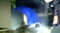 Florida deputies rescue couple that crashed into swamp