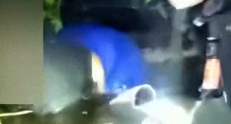 Florida deputies rescue couple that crashed into swamp