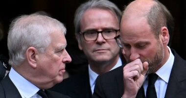 Footage 'appears to show Prince William reprimanding uncle Andrew'