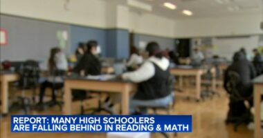 Former Chicago Public Schools CEO Paul Vallas, DePaul University professor weigh in on Nation's Report Card