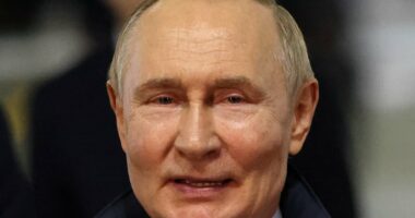 Former Russian hockey coach blames 'bisexuals' for Olympics exclusion