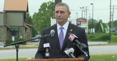 Former Spartanburg Co. sheriff, two others, agrees to plead guilty to federal charges