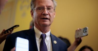GOP Rep. Tim Burchett tussles with anti-Israel protester on Capitol Hill