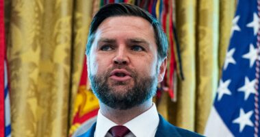GOP Senator blasts JD Vance's 'despicable and thoughtless sentiment'