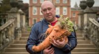 Gardeners showcase giant veg at UK's biggest autumn gardening show